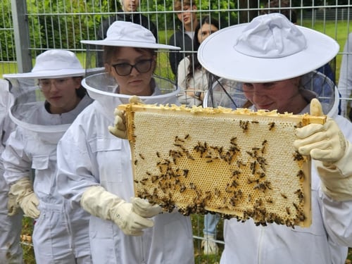 Schülerinnen am Bienenstand Heißen