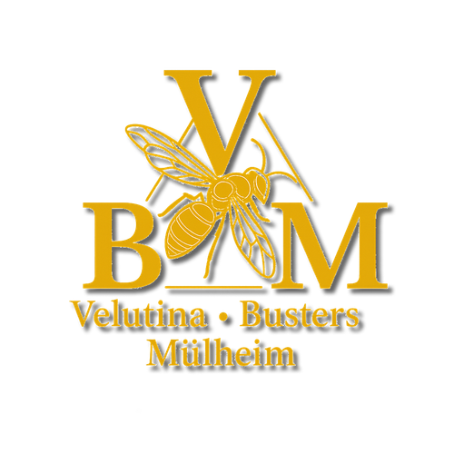 Logo Velutina Busters Mülheim