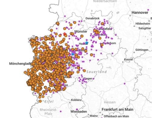 Invasion der Asiatischen Hornisse - Update