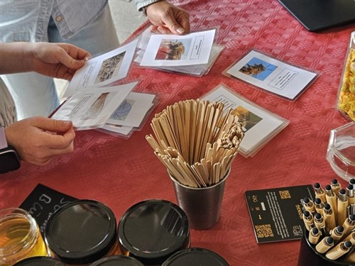 Bienen-Memory und Honigverkostung am Pott-Biene-Stand beim WIK-Sommerfest 2026