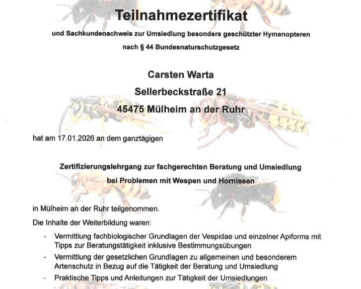 Zertifikat Hornissenberater §44