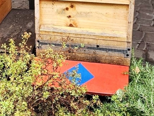 Beute mit Mäusegitter