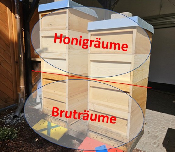 Aufteilung Honigraum und Brutraum