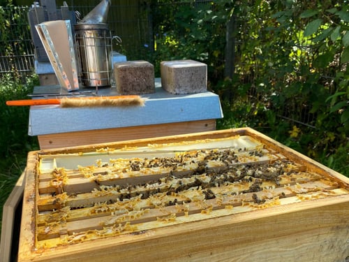 Bienenstand bei der DLRG in Menden