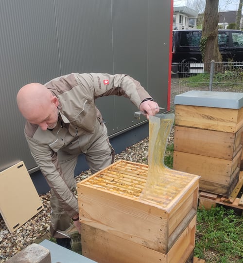 Bienenstand bei der DLRG in Menden