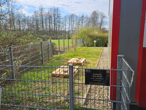 Bienenstand bei der DLRG in Menden