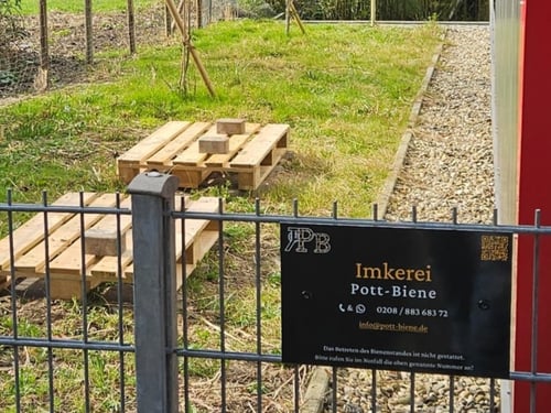 Bienenstand bei der DLRG in Menden