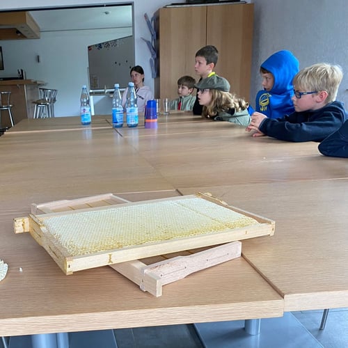 Kinder beim Unterricht im Gruppenraum