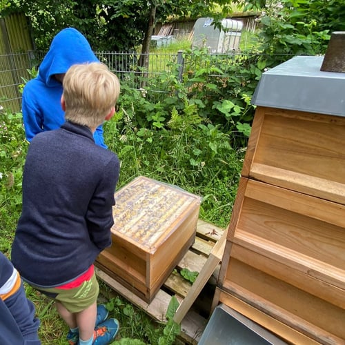 Kinder am Bienenstand der DLRG