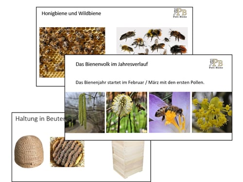 Einige Unterrichtsfolien