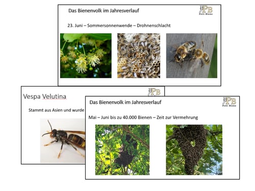 Einige Unterrichtsfolien