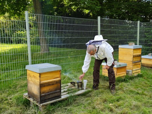 Bienenstand mit Schülern