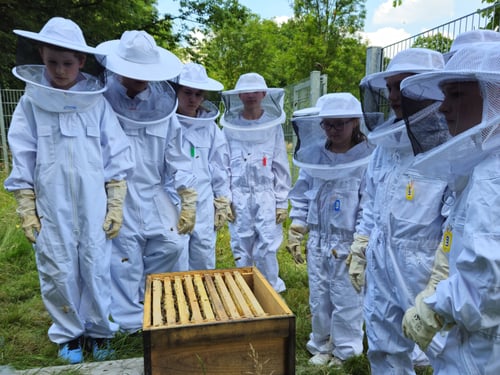 Bienenstand mit Schülern