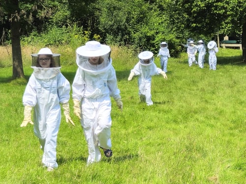 Bienenstand mit Schülern