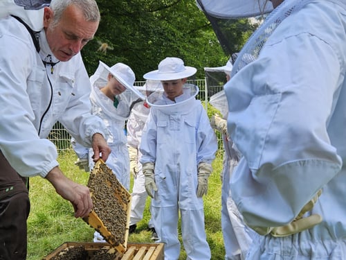Bienenstand mit Schülern