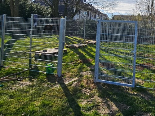 Impressionen vom Bienenstand auf dem Schulgelände